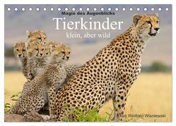 Magie des Augenblicks – Tierkinder – klein, aber wild (Tischkalender 2024 DIN A5 quer), CALVENDO Monatskalender von Wisniewski,  Winfried