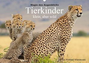 Magie des Augenblicks – Tierkinder – klein, aber wild (Wandkalender 2020 DIN A2 quer) von Wisniewski,  Winfried