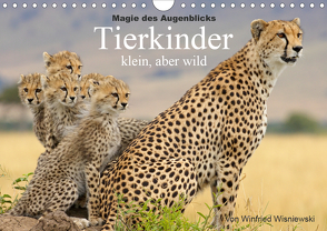 Magie des Augenblicks – Tierkinder – klein, aber wild (Wandkalender 2020 DIN A4 quer) von Wisniewski,  Winfried