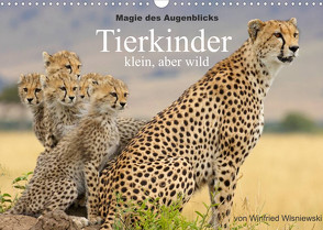 Magie des Augenblicks – Tierkinder – klein, aber wild (Wandkalender 2022 DIN A3 quer) von Wisniewski,  Winfried