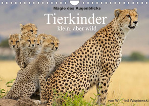 Magie des Augenblicks – Tierkinder – klein, aber wild (Wandkalender 2022 DIN A4 quer) von Wisniewski,  Winfried