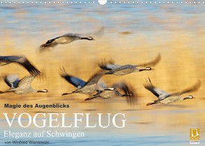 Magie des Augenblicks – Vogelflug – Eleganz auf Schwingen (Wandkalender 2023 DIN A3 quer) von Wisniewski,  Winfried