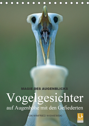 Magie des Augenblicks – Vogelgesichter – auf Augenhöhe mit den Gefiederten (Tischkalender 2021 DIN A5 hoch) von Wisniewski,  Winfried