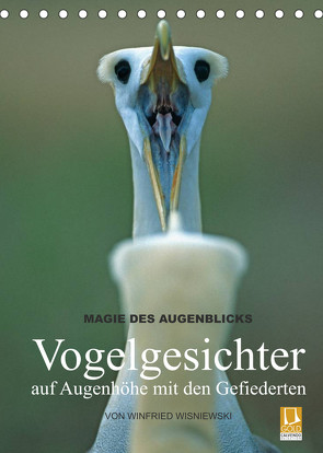 Magie des Augenblicks – Vogelgesichter – auf Augenhöhe mit den Gefiederten (Tischkalender 2022 DIN A5 hoch) von Wisniewski,  Winfried