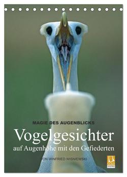 Magie des Augenblicks – Vogelgesichter – auf Augenhöhe mit den Gefiederten (Tischkalender 2024 DIN A5 hoch), CALVENDO Monatskalender von Wisniewski,  Winfried