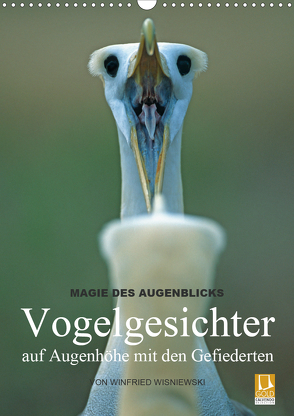 Magie des Augenblicks – Vogelgesichter – auf Augenhöhe mit den Gefiederten (Wandkalender 2021 DIN A3 hoch) von Wisniewski,  Winfried