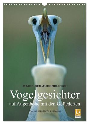 Magie des Augenblicks – Vogelgesichter – auf Augenhöhe mit den Gefiederten (Wandkalender 2024 DIN A3 hoch), CALVENDO Monatskalender von Wisniewski,  Winfried