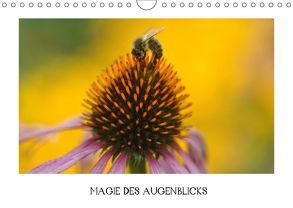 Magie des Augenblicks (Wandkalender 2018 DIN A4 quer) von Castelberg,  Gabi