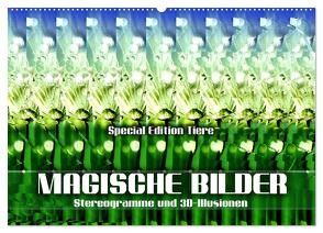 Magische Bilder – Stereogramme und 3D-Illusionen (Wandkalender 2024 DIN A2 quer), CALVENDO Monatskalender von Utz,  Renate