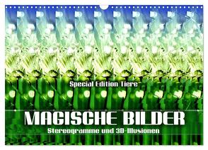 Magische Bilder – Stereogramme und 3D-Illusionen (Wandkalender 2024 DIN A3 quer), CALVENDO Monatskalender von Utz,  Renate