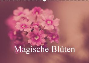 Magische Blüten (Wandkalender 2019 DIN A2 quer) von MARX - PHOTOART (www.marx-photoart.de),  MICHAEL