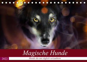 Magische Hunde – Hunde die uns täglich verzaubern (Tischkalender 2022 DIN A5 quer) von Mayer Tierfotografie,  Andrea