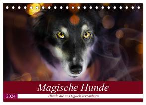 Magische Hunde – Hunde die uns täglich verzaubern (Tischkalender 2024 DIN A5 quer), CALVENDO Monatskalender von Mayer Tierfotografie,  Andrea