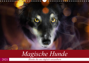 Magische Hunde – Hunde die uns täglich verzaubern (Wandkalender 2021 DIN A3 quer) von Mayer Tierfotografie,  Andrea