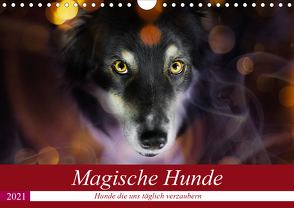 Magische Hunde – Hunde die uns täglich verzaubern (Wandkalender 2021 DIN A4 quer) von Mayer Tierfotografie,  Andrea