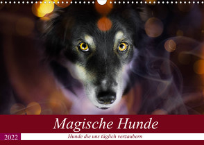 Magische Hunde – Hunde die uns täglich verzaubern (Wandkalender 2022 DIN A3 quer) von Mayer Tierfotografie,  Andrea