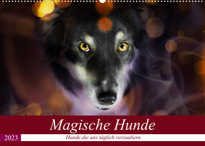 Magische Hunde – Hunde die uns täglich verzaubern (Wandkalender 2023 DIN A2 quer) von Mayer Tierfotografie,  Andrea