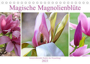 Magische Magnolienblüte (Tischkalender 2023 DIN A5 quer) von B-B Müller,  Christine