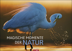 Magische Momente der Natur Kalender 2021 von Weingarten