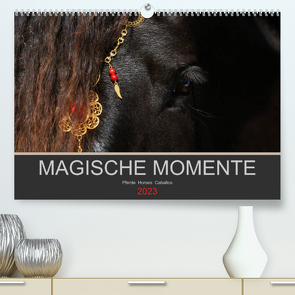 Magische Momente – Pferde Horses Caballos (Premium, hochwertiger DIN A2 Wandkalender 2023, Kunstdruck in Hochglanz) von Eckerl Tierfotografie www.petraeckerl.com,  Petra