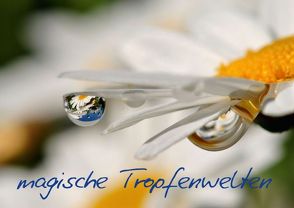magische Tropfenwelten (Posterbuch DIN A4 quer) von Herppich,  Susanne