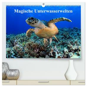 Magische Unterwasserwelten (hochwertiger Premium Wandkalender 2024 DIN A2 quer), Kunstdruck in Hochglanz von Hablützel,  Martin