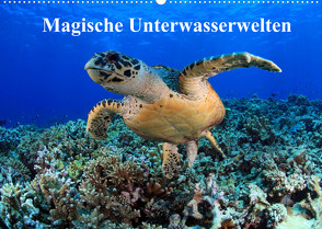 Magische Unterwasserwelten (Wandkalender 2022 DIN A2 quer) von Hablützel,  Martin