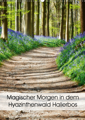 Magischer Morgen in dem Hyazinthenwald Hallerbos (Wandkalender 2020 DIN A2 hoch) von Patrick,  Bombaert