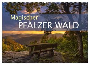 Magischer Pfälzer Wald (Wandkalender 2024 DIN A2 quer), CALVENDO Monatskalender von Pappon,  Stefanie