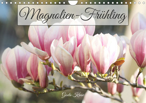 Magnolien-Frühling (Wandkalender 2023 DIN A4 quer) von Kruse,  Gisela