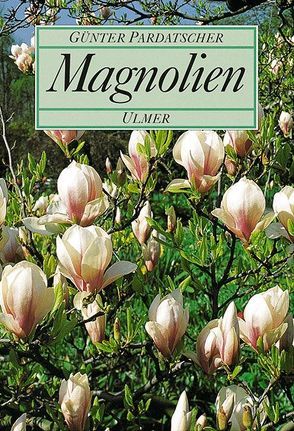 Magnolien von Pardatscher,  Günter