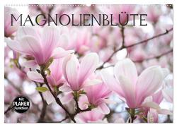 Magnolienblüte (Wandkalender 2024 DIN A2 quer), CALVENDO Monatskalender von Kruse,  Gisela