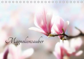 Magnolienzauber (Tischkalender 2019 DIN A5 quer) von Herzog,  Uwe