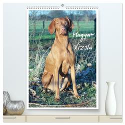 Magyar Vizsla (hochwertiger Premium Wandkalender 2024 DIN A2 hoch), Kunstdruck in Hochglanz von Mielewczyk,  Barbara