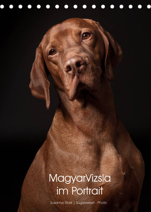 Magyar Vizsla im Portrait (Tischkalender 2022 DIN A5 hoch) von Stark Sugarsweet - Photo,  Susanne