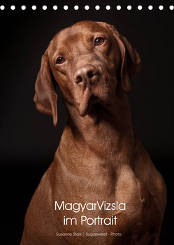 Magyar Vizsla im Portrait (Tischkalender 2023 DIN A5 hoch) von Stark Sugarsweet - Photo,  Susanne