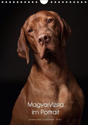 Magyar Vizsla im Portrait (Wandkalender 2018 DIN A4 hoch) von Stark Sugarsweet - Photo,  Susanne