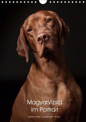 Magyar Vizsla im Portrait (Wandkalender 2019 DIN A4 hoch) von Stark Sugarsweet - Photo,  Susanne