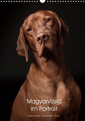 Magyar Vizsla im Portrait (Wandkalender 2020 DIN A3 hoch) von Stark Sugarsweet - Photo,  Susanne