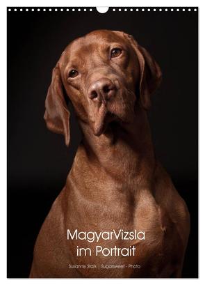 Magyar Vizsla im Portrait (Wandkalender 2024 DIN A3 hoch), CALVENDO Monatskalender von Stark Sugarsweet - Photo,  Susanne