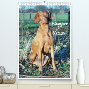 Magyar Vizsla (Premium, hochwertiger DIN A2 Wandkalender 2022, Kunstdruck in Hochglanz) von Mielewczyk,  Barbara