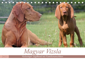 Magyar Vizsla – Vielseitiger Jagdhund mit Familienanschluss (Tischkalender 2023 DIN A5 quer) von Mielewczyk,  Barbara