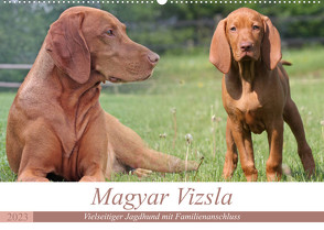 Magyar Vizsla – Vielseitiger Jagdhund mit Familienanschluss (Wandkalender 2023 DIN A2 quer) von Mielewczyk,  Barbara