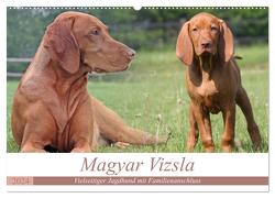 Magyar Vizsla – Vielseitiger Jagdhund mit Familienanschluss (Wandkalender 2024 DIN A2 quer), CALVENDO Monatskalender von Mielewczyk,  Barbara