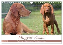 Magyar Vizsla – Vielseitiger Jagdhund mit Familienanschluss (Wandkalender 2024 DIN A4 quer), CALVENDO Monatskalender von Mielewczyk,  Barbara