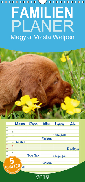 Magyar Vizsla Welpen – Familienplaner hoch (Wandkalender 2019 , 21 cm x 45 cm, hoch) von Grüttner,  Kerstin