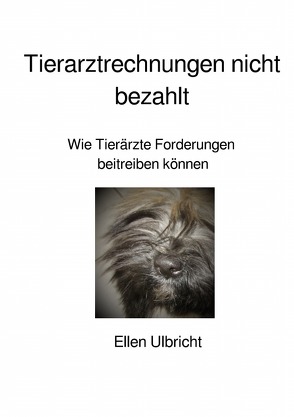 Mahnen leicht gemacht / Tierarztrechnungen nicht bezahlt von Ulbricht,  Ellen