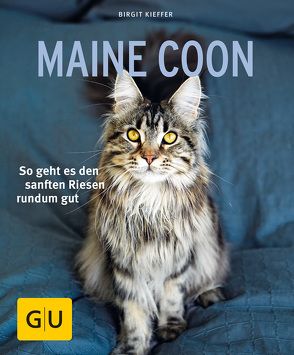 Maine Coon von Kieffer,  Birgit