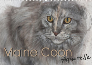 Maine Coon Aquarelle (Wandkalender 2023 DIN A2 quer) von Hahn,  Jasmin