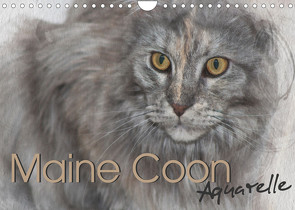 Maine Coon Aquarelle (Wandkalender 2023 DIN A4 quer) von Hahn,  Jasmin